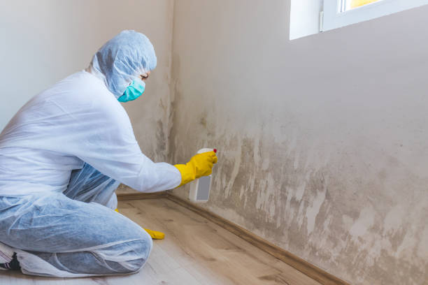 Certified Mold Removal in Horton, KS