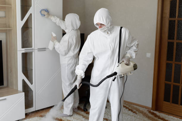 Mold Removal Process in Horton, KS