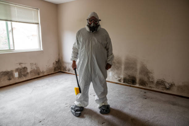 Professional Mold Removal in Horton, KS